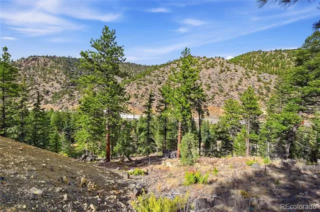 2238 Stanley Road Idaho Springs, CO 80452