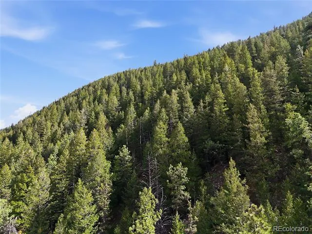 2238 Stanley Road Idaho Springs, CO 80452