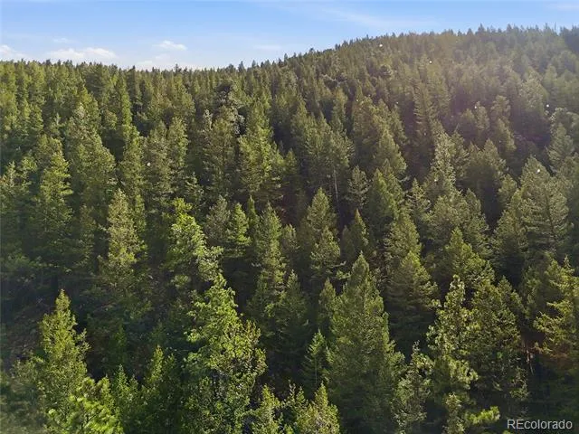 2238 Stanley Road Idaho Springs, CO 80452