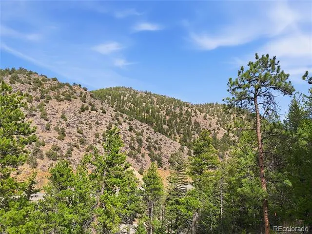 2238 Stanley Road Idaho Springs, CO 80452