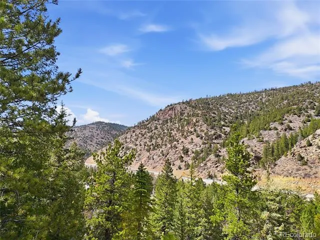 2238 Stanley Road Idaho Springs, CO 80452