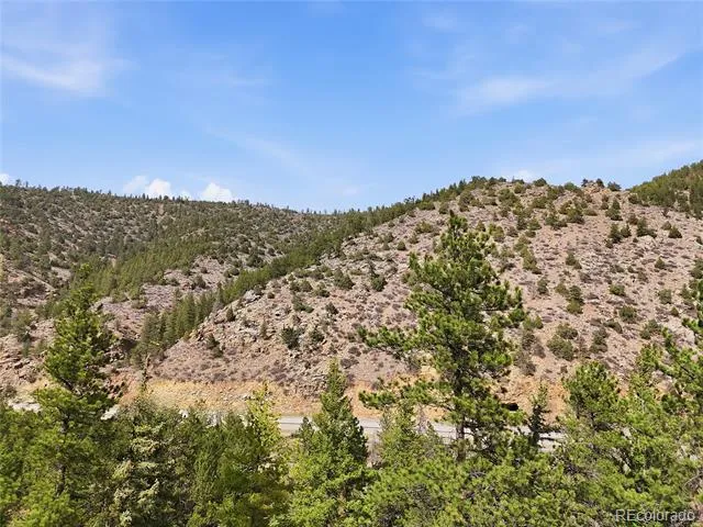 2238 Stanley Road Idaho Springs, CO 80452