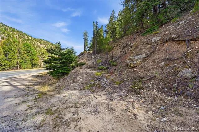 2238 Stanley Road Idaho Springs, CO 80452