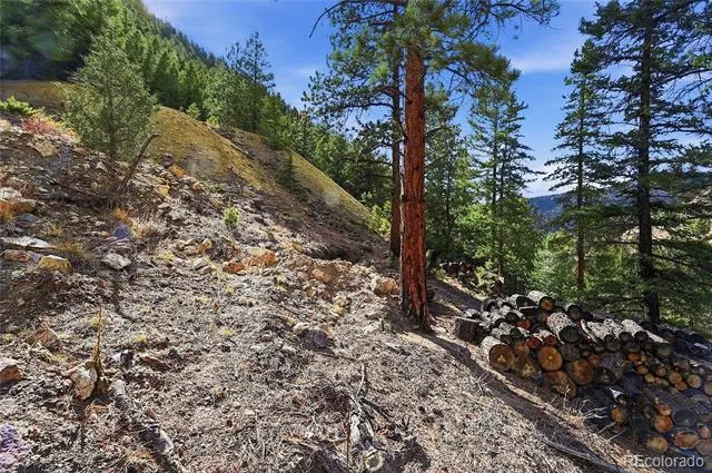 2238 Stanley Road Idaho Springs, CO 80452