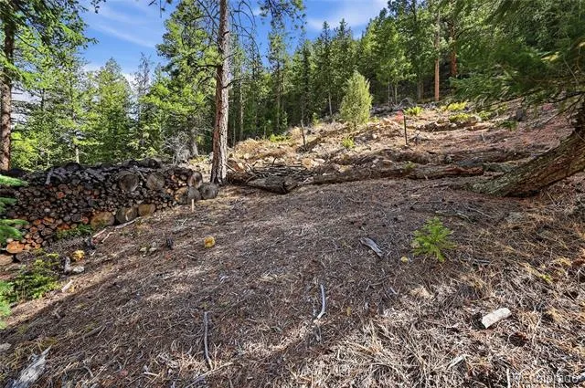 2238 Stanley Road Idaho Springs, CO 80452