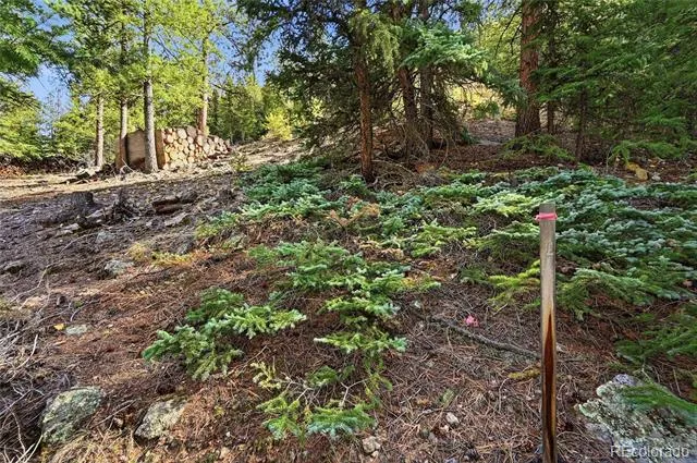 2238 Stanley Road Idaho Springs, CO 80452