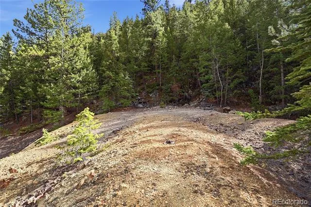 2238 Stanley Road Idaho Springs, CO 80452
