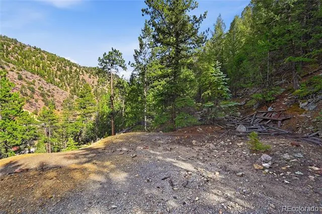 2238 Stanley Road Idaho Springs, CO 80452