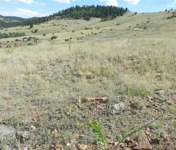 Lot 1-2 Colorado Avenue Cripple Creek, CO 80813