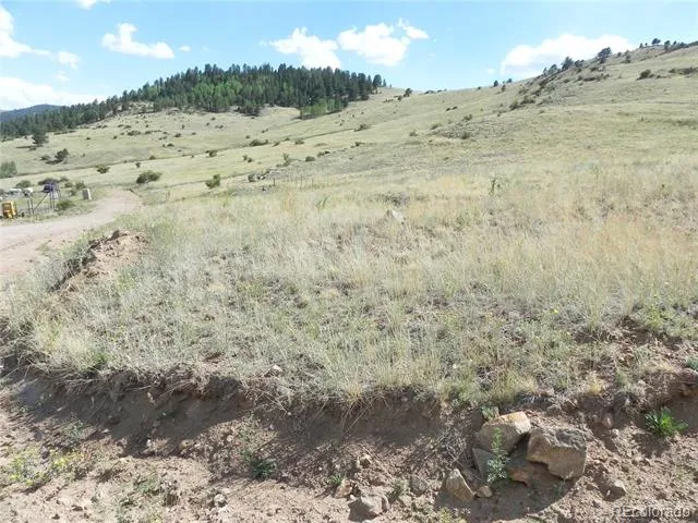 Lot 1-2 Colorado Avenue Cripple Creek, CO 80813