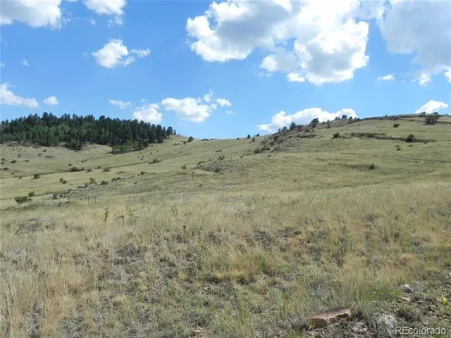 Lot 1-2 Colorado Avenue Cripple Creek, CO 80813