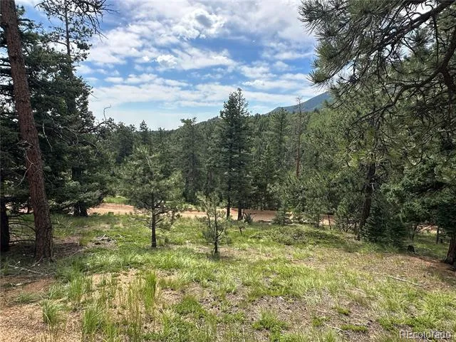 116 Happy Valley Manitou Springs, CO 80829