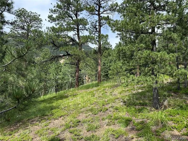 116 Happy Valley Manitou Springs, CO 80829