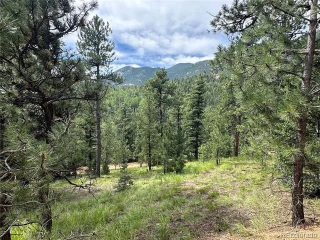 116 Happy Valley Manitou Springs, CO 80829