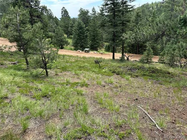 116 Happy Valley Manitou Springs, CO 80829
