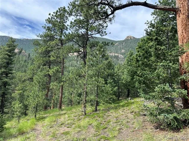 116 Happy Valley Manitou Springs, CO 80829