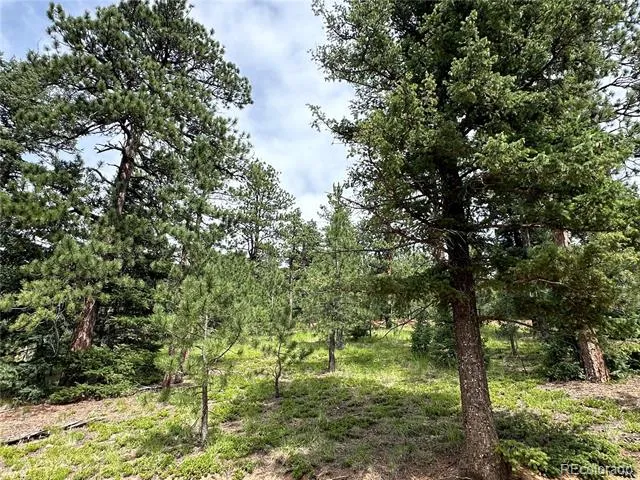 116 Happy Valley Manitou Springs, CO 80829