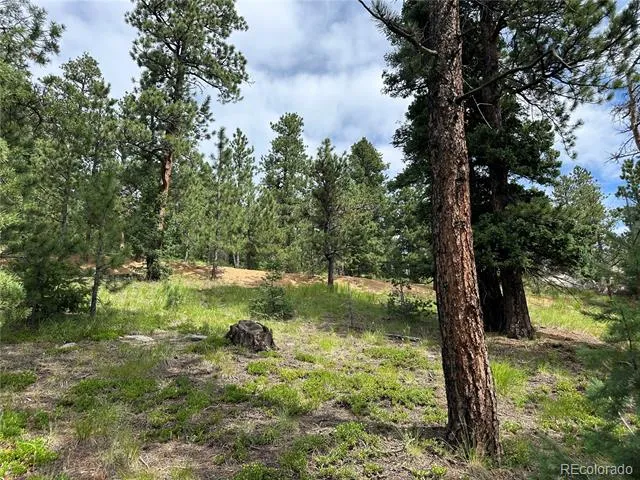 116 Happy Valley Manitou Springs, CO 80829
