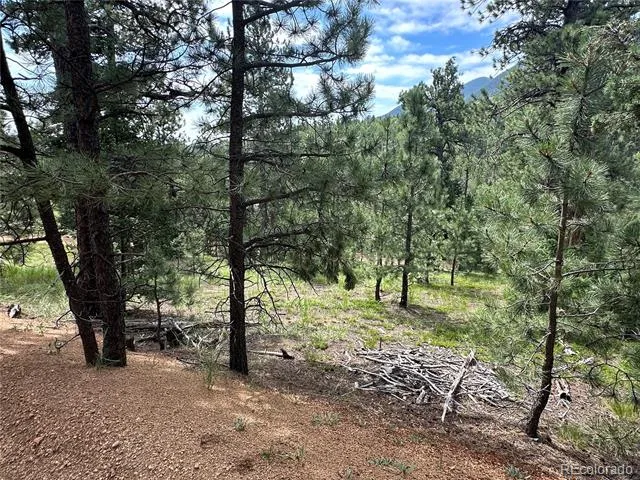 116 Happy Valley Manitou Springs, CO 80829