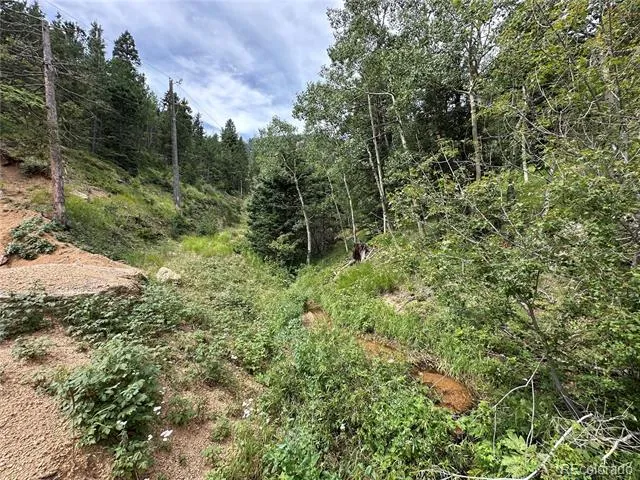 116 Happy Valley Manitou Springs, CO 80829