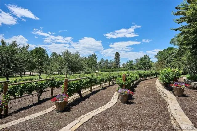 12 Lynn Road Cherry Hills Village, CO 80113
