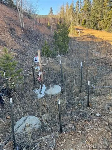 4628 Smith Hill Road Black Hawk, CO 80422