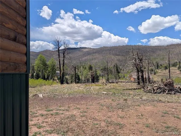 1031 Van Fossan Lane Fort Garland, CO 81133