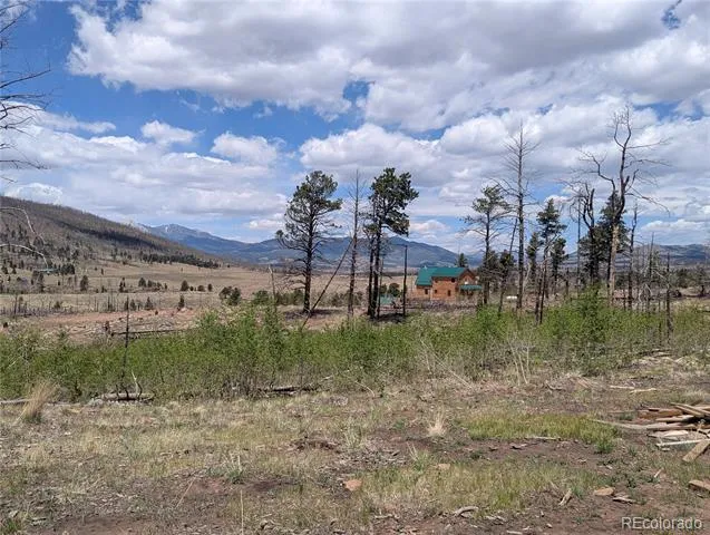 1031 Van Fossan Lane Fort Garland, CO 81133
