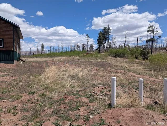1031 Van Fossan Lane Fort Garland, CO 81133