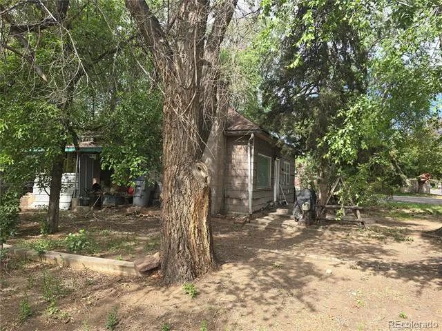 339 17th Avenue Longmont, CO 80501