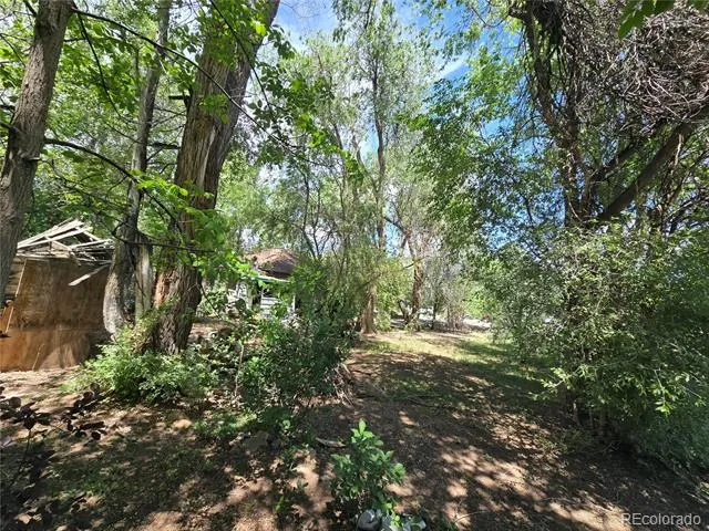 339 17th Avenue Longmont, CO 80501