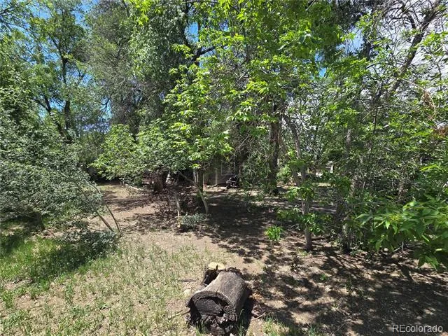 339 17th Avenue Longmont, CO 80501