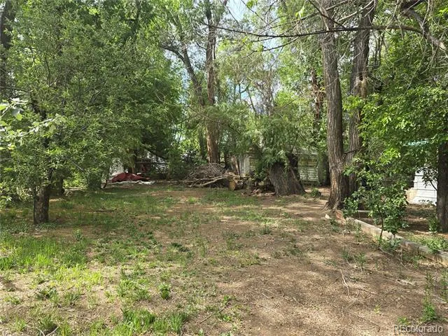 339 17th Avenue Longmont, CO 80501