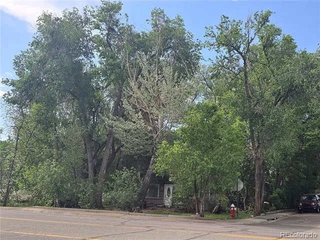 339 17th Avenue Longmont, CO 80501