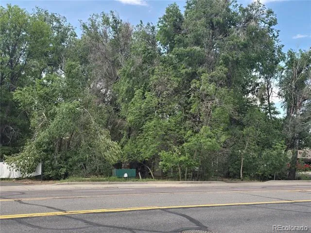 339 17th Avenue Longmont, CO 80501