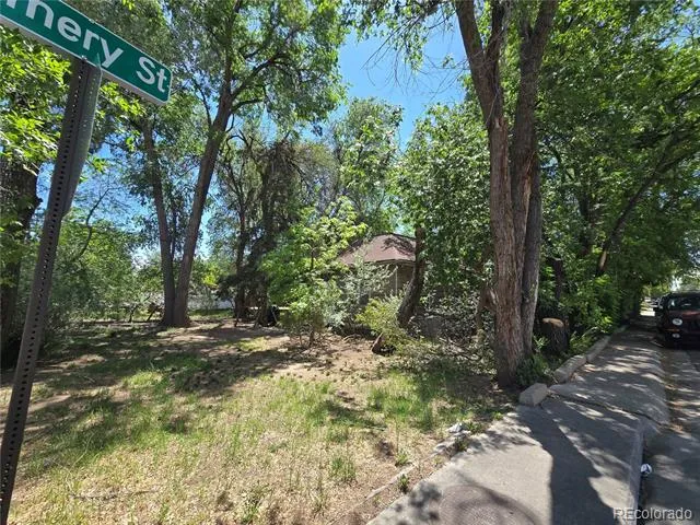 339 17th Avenue Longmont, CO 80501