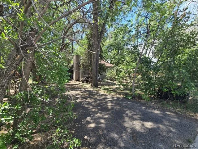 339 17th Avenue Longmont, CO 80501