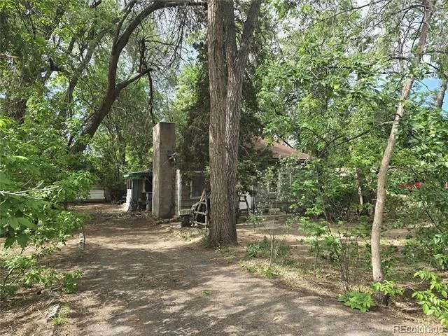 339 17th Avenue Longmont, CO 80501