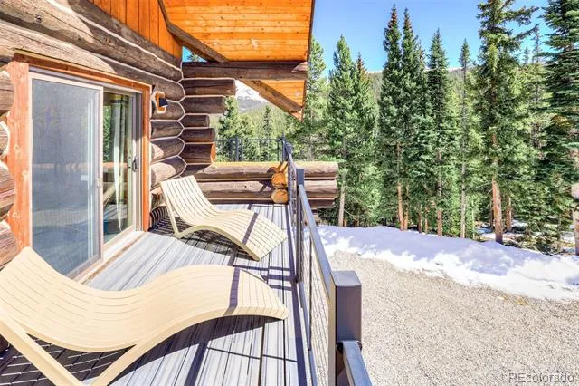 324 Carroll Lane Breckenridge, CO 80424