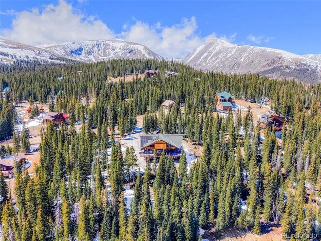 324 Carroll Lane Breckenridge, CO 80424
