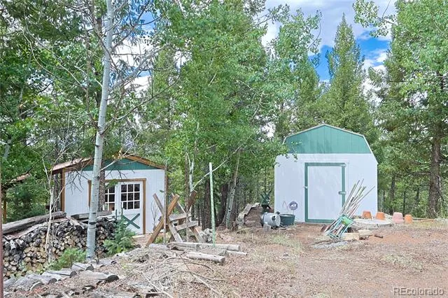 5527 County Road 5 Road Divide, CO 80814