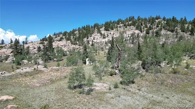63 Longbow Court Jefferson, CO 80456