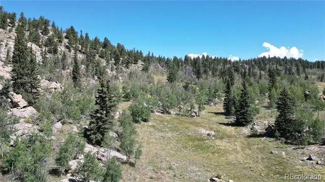 63 Longbow Court Jefferson, CO 80456