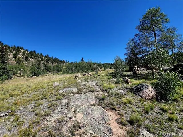 63 Longbow Court Jefferson, CO 80456