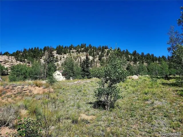63 Longbow Court Jefferson, CO 80456