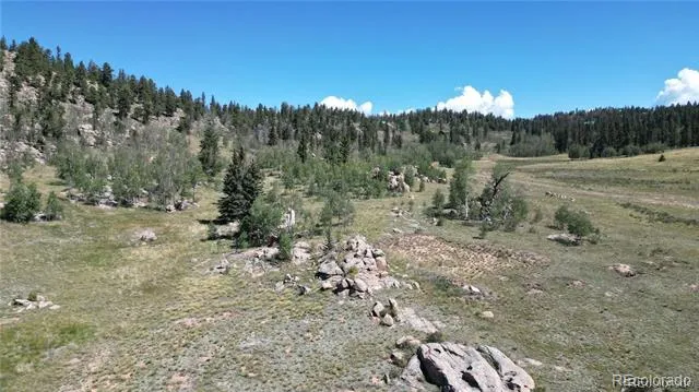 63 Longbow Court Jefferson, CO 80456