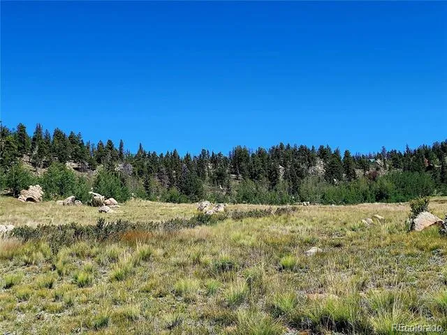 63 Longbow Court Jefferson, CO 80456