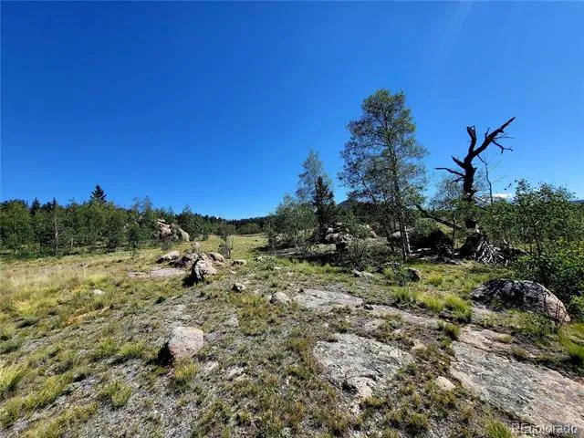 63 Longbow Court Jefferson, CO 80456
