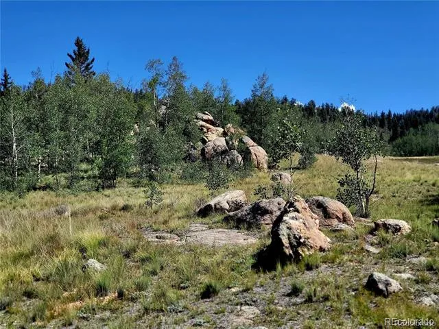 63 Longbow Court Jefferson, CO 80456