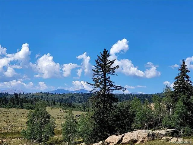 63 Longbow Court Jefferson, CO 80456